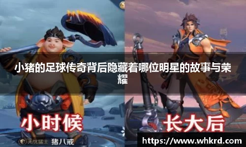 贝博bb艾弗森官网